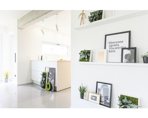 Helles Interieur mit weißen Wänden, Regalen mit Dekorationen und Pflanzenbildern