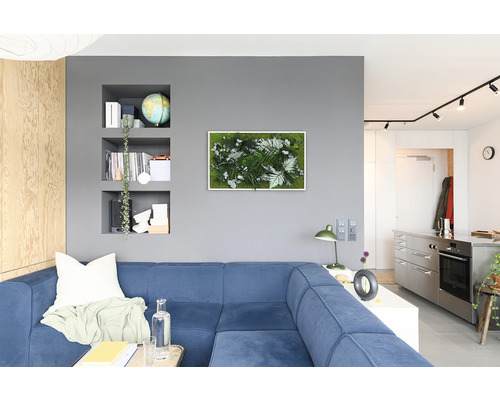 Wohnzimmer mit blauem Sofa, Wandregalen und Moosbild