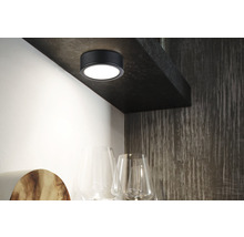 Aufbaulampe unter Regal mit Gläsern