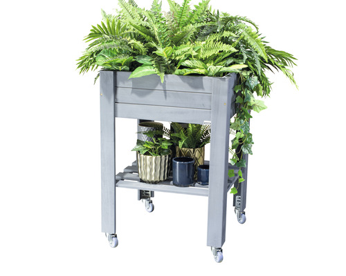 Hochbeet aus Holz mit Rollen und Pflanzen