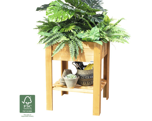 Hochbeet aus Holz mit Pflanzen und Gartenzubehör