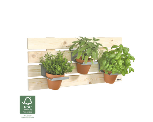 Holzpalette mit drei Kräutertöpfen an einer Wandhalterung