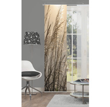 Schiebegardine Digitaldruck Caruso natur 60x245 cm