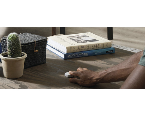 Dekoratives Wohnzimmer mit Kaktus, Aufbewahrungskorb, Büchern und Person, die einen Smart Button bedient