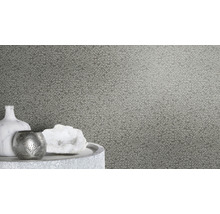 Vliestapete 704358 Kalahari Grafisch silber grau