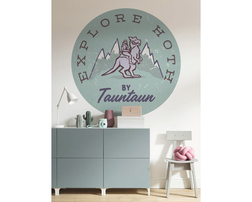 Wandgestaltung mit einem Motiv aus der Star Wars Saga in einem Kinderzimmer.