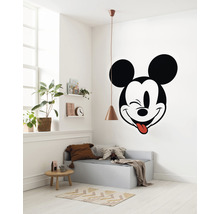 Fototapete selbstklebend DD1-057 Dot Disney Mickey Head Optimism Ø 125 cm