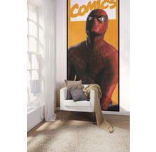 Dekoratives Zimmer mit Sesseln, Kissen, Decke und Spider-Man-Poster