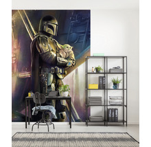Fototapete Vlies IADX4-019 Into Adventure Mandalorian Savior 4-tlg. 200 x 280 cm