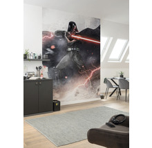 Wohnraum mit einer Fototapete von einer Star Wars Figur an der Wand.