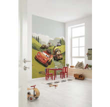 Fototapete Vlies IADX4-034 Into Adventure Disney Cars Camping 4-tlg. 200 x 280 cm