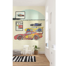 Fototapete Vlies IADX4-040 Into Adventure Disney Cars Stream Lines 4-tlg. 200 x 280 cm