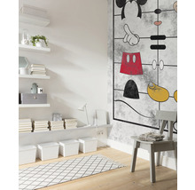 Fototapete Vlies IADX4-053 Into Adventure Disney Mickey Kit 4-tlg. 200 x 280 cm