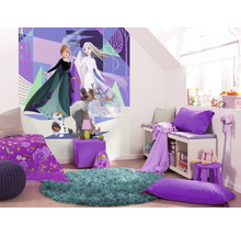 Fototapete Vlies IADX4-059 Into Adventure Disney Frozen Abstract Arendelle 4-tlg. 200 x 280 cm