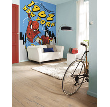 Fototapete Vlies IADX4-081 Into Adventure Spider-Man 1962 4-tlg. 200 x 280 cm
