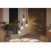 Philips hue Lampe White Ambiance dimmbar gold Filament ST64 E27/7W(40W) 550 lm 2200K-6500 K - Kompatibel mit SMART HOME by hornbach-thumb-6