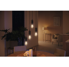 Philips hue Lampe White Ambiance dimmbar gold Filament ST64 E27/7W(40W) 550 lm 2200K-6500 K - Kompatibel mit SMART HOME by hornbach-thumb-4