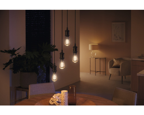 Esszimmer mit Pendelleuchte mit vier Glühbirnen im Edison-Stil über einem Holztisch