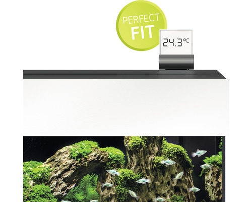 Aquarium mit Temperaturanzeige und dem Siegel perfekte Passform
