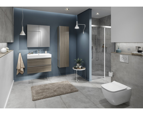 Modernes Badezimmer mit Waschtisch, Spiegelschrank, Hängeschrank, Dusche und Hänge-WC.