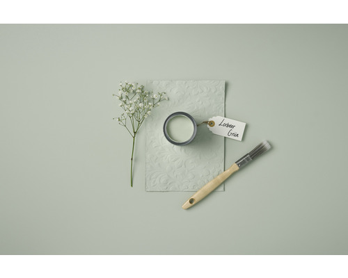 Farbeimer, Farbtonprobe, Pinsel und Schleierkraut auf einfarbigem Untergrund