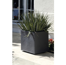 Quadratischer Pflanzkasten mit Bepflanzung im Außenbereich