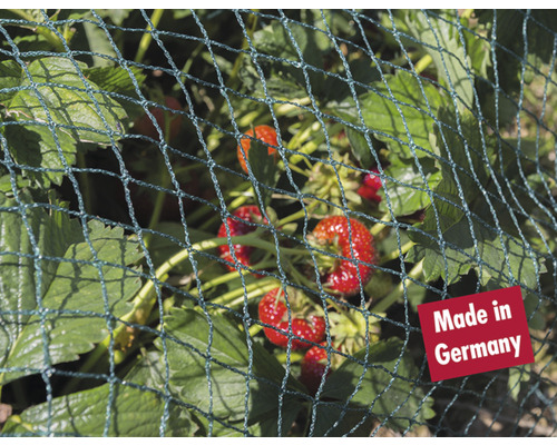 Erdbeeren unter einem Vogelschutznetz mit dem Siegel Made in Germany.