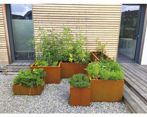 Mehrere Hochbeete aus Metall mit Pflanzen auf einem Kiesboden vor einem Haus.