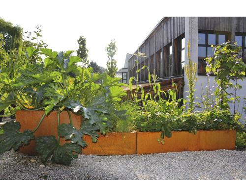 Hochbeet mit Pflanzen im Garten vor einem Gebäude