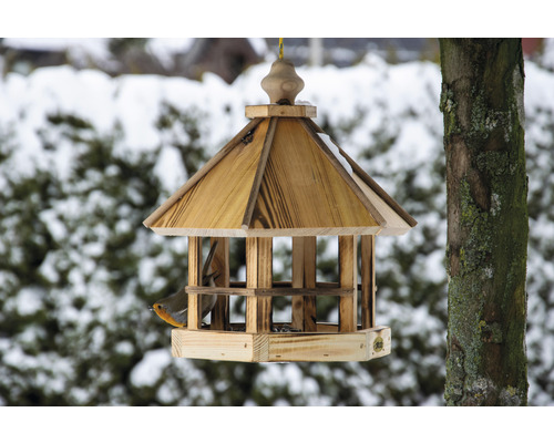 Holzvogelhaus mit Zaun und Vogel