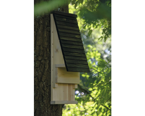 Fledermauskasten aus Holz an einem Baum