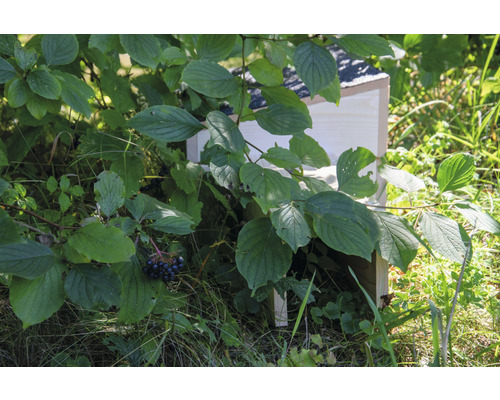 Vogelhaus aus Holz im Garten