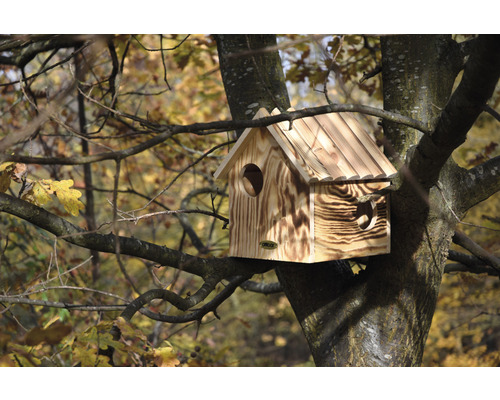 Vogelhaus aus Holz mit rundem Eingangsloch und Herzdetail an einem Baum