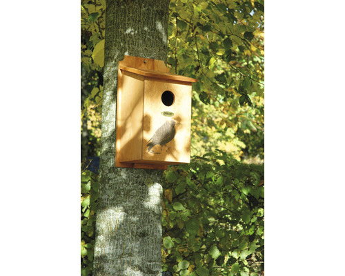 Vogelhaus aus Holz an einem Baumstamm befestigt
