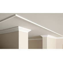 Profipack Deckenleiste D10, 8 x 2 m, 80 x 80 mm