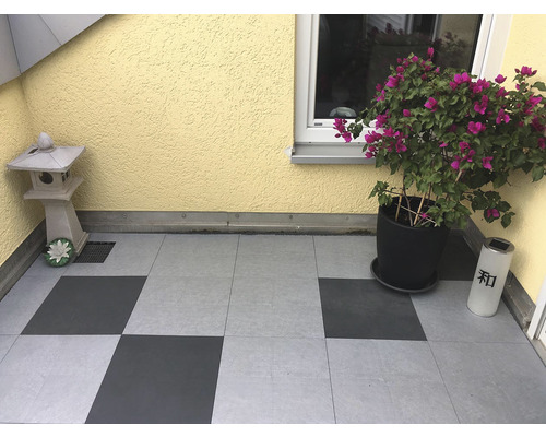 Terrasse mit Pflastersteinen, Pflanze und Dekorationen.