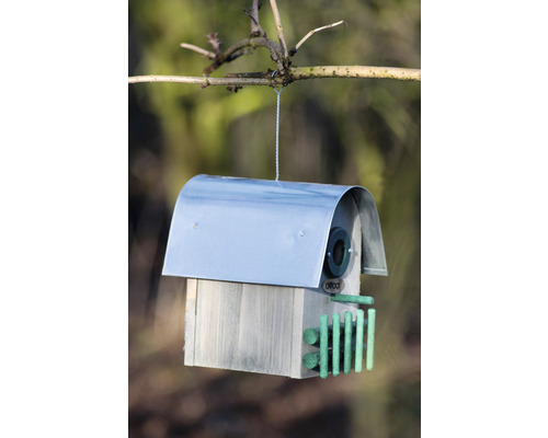 Vogelhaus aus Holz mit Metalldach hängt an einem Ast