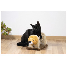 Schwarze Katze auf Kratzbaum in Form eines Löwen
