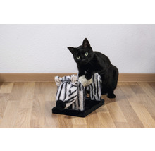 Schwarze Katze spielt mit Zebra-Kratzbaum auf Holzboden.