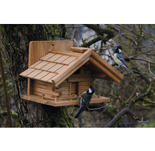 Holz-Vogelhaus im Blockhausstil mit zwei Meisen auf einem Baumstamm