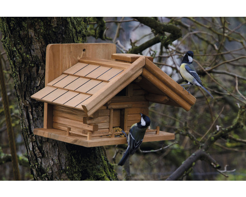 Holz-Vogelhaus im Blockhausstil mit zwei Meisen auf einem Baumstamm