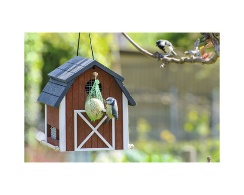 Vogelhaus mit Futter und Blaumeise