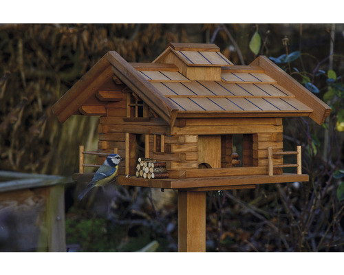 Vogelhaus im Chalet-Stil mit Blaumeise