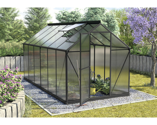 Gewächshaus mit geöffneter Tür und Oberlicht in einem Garten