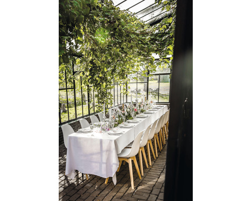 Tafeldekoration in einem Gewächshaus mit Pflanzen, Geschirr, Kerzen und Stühlen