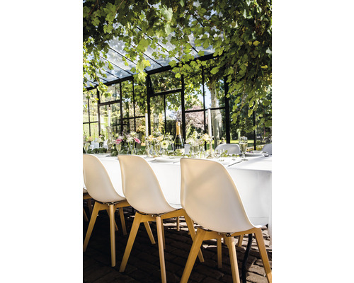 Festlich gedeckter Tisch in einem Gewächshaus mit Stühlen