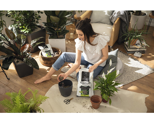 Frau befüllt Pflanztopf mit Lechuza Pon Pflanzsubstrat, umgeben von Zimmerpflanzen in Töpfen