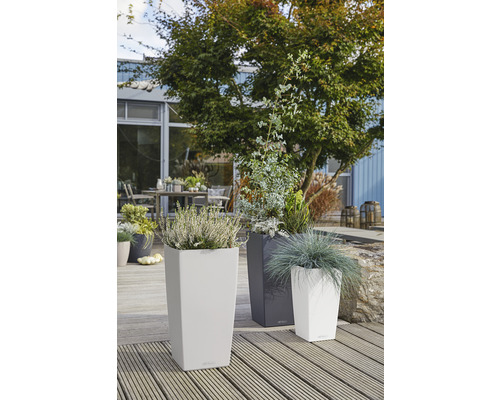 Drei hohe Pflanzgefäße mit Bepflanzung auf einer Holzterrasse