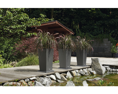 Drei Pflanzgefäße mit Ziergras auf einer Holzterrasse am Teich im Garten.