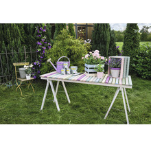 Dekoration mit Farbe, Gießkanne und Blumen auf einem Tisch im Garten